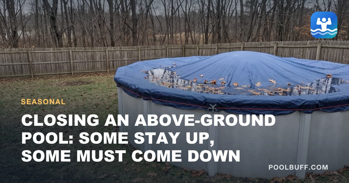 A round above-ground pool closed for winter in a bare backyard, its dark blue cover domed in the middle, rainwater and oak leaves in the sag, a red cable and winch at the rail
