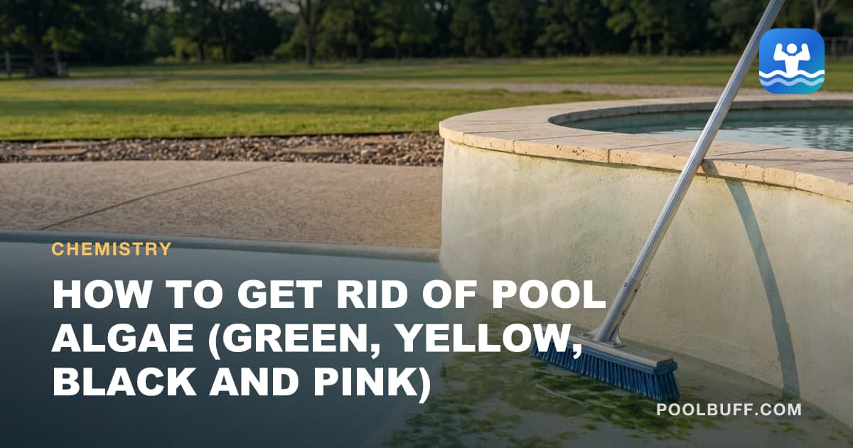 Green algae clinging to a pool wall and floor, brush leaning nearby