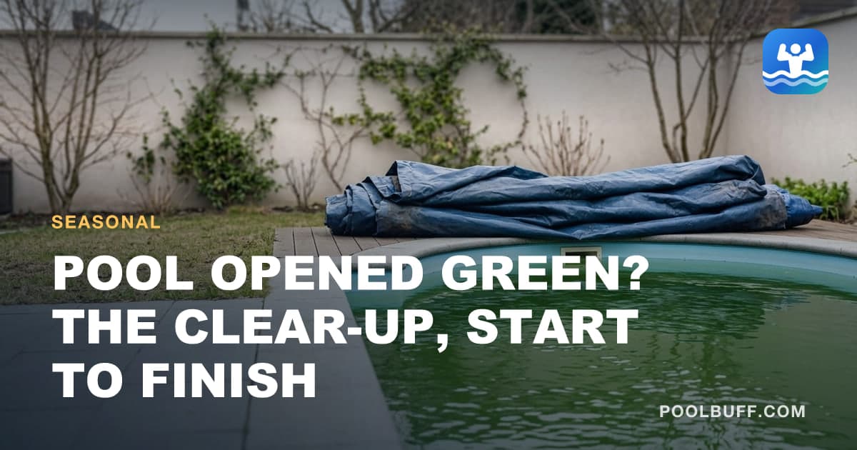 A pool of opaque green water in spring with a folded winter cover dragged back onto the deck behind it, bare trees around the yard