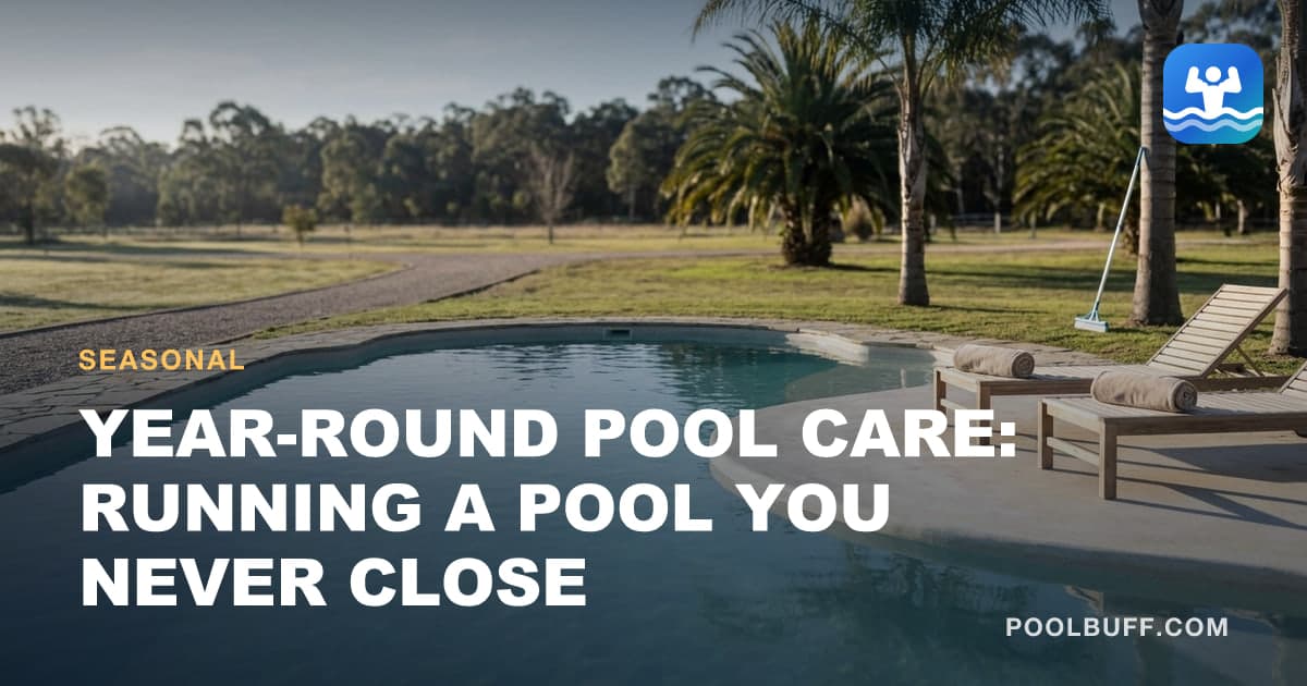A clean pool in a warm mild-winter climate, palms and low sun